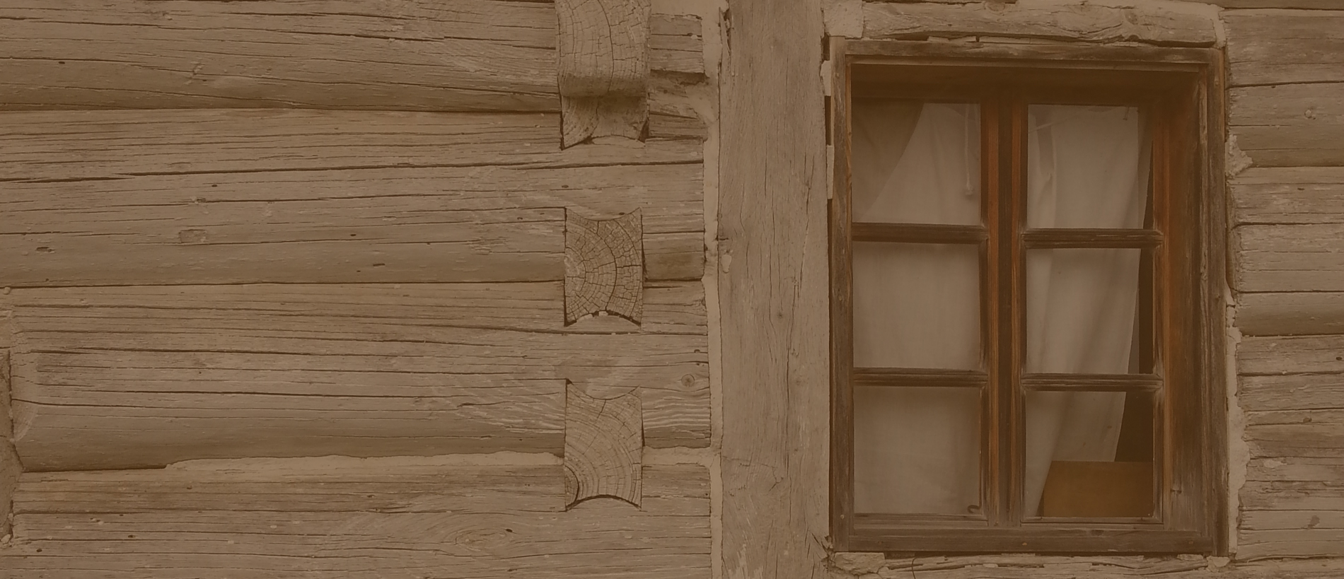 Dendroarchaeologie_Slider-1